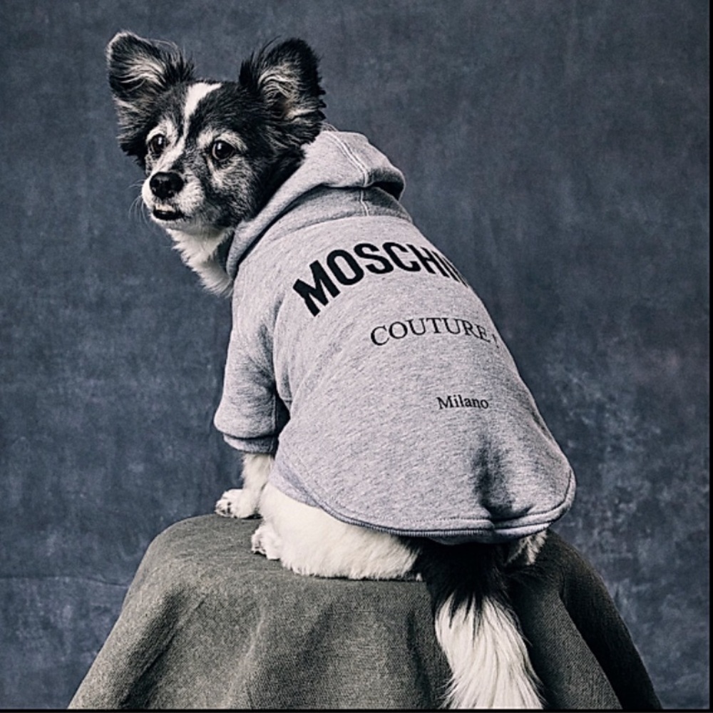 New Moschino Light Gray Pet Hoodie 13in with tags ⭐️⭐️⭐️⭐️⭐️
